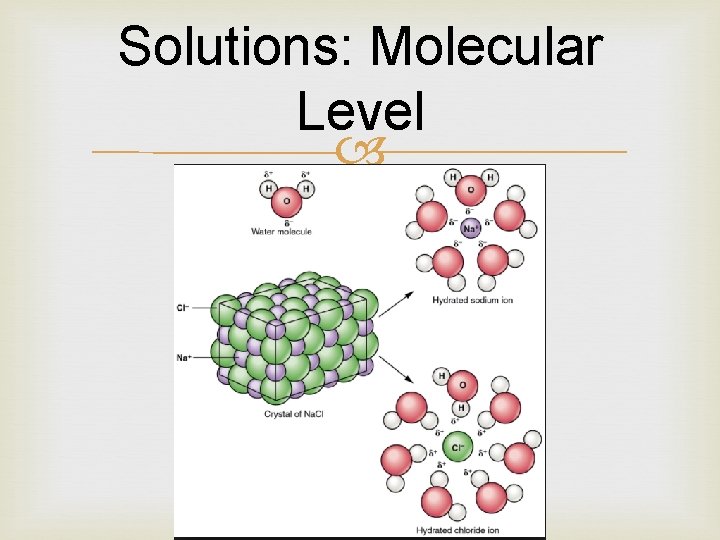Solutions: Molecular Level 