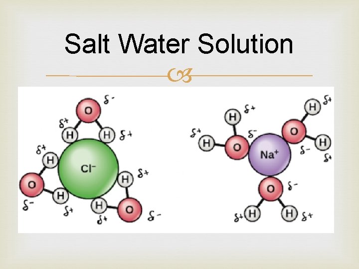 Salt Water Solution 