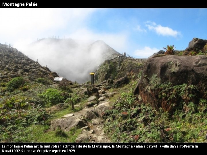 Montagne Pelée La montagne Pelée est le seul volcan actif de l''île de la