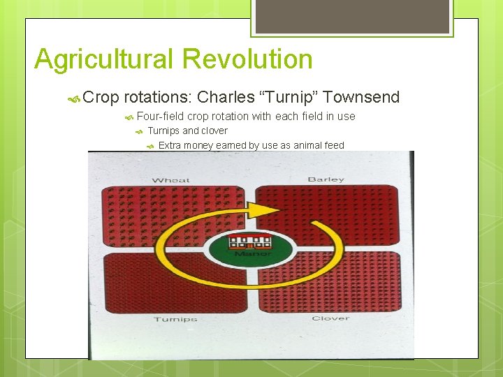 Agricultural Revolution Crop rotations: Charles “Turnip” Townsend Four-field crop rotation with each field in