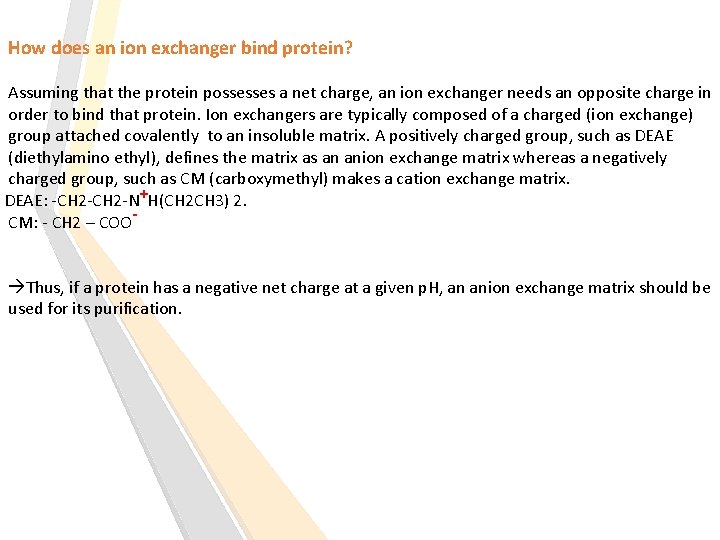 How does an ion exchanger bind protein? Assuming that the protein possesses a net