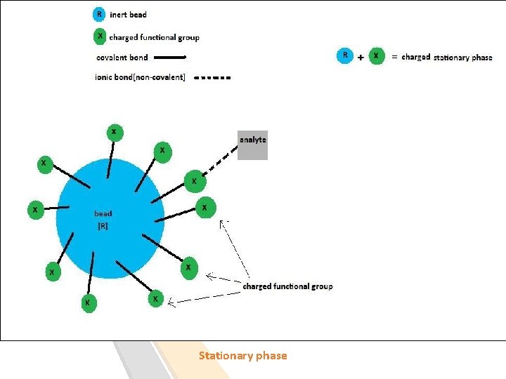 Stationary phase 