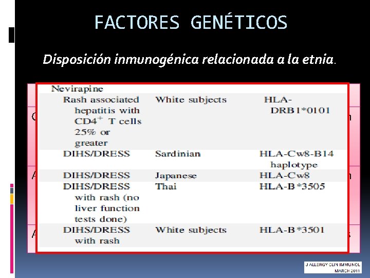 FACTORES GENÉTICOS Disposición inmunogénica relacionada a la etnia. Droga culpable Enfermedad HLA Etnia Carbamazepina