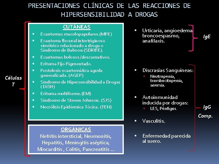 PRESENTACIONES CLÍNICAS DE LAS REACCIONES DE HIPERSENSIBILIDAD A DROGAS CUTÁNEAS Células T Exantemas maculopapulares.