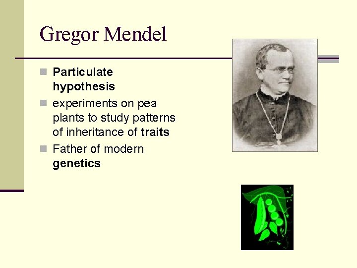 Gregor Mendel n Particulate hypothesis n experiments on pea plants to study patterns of