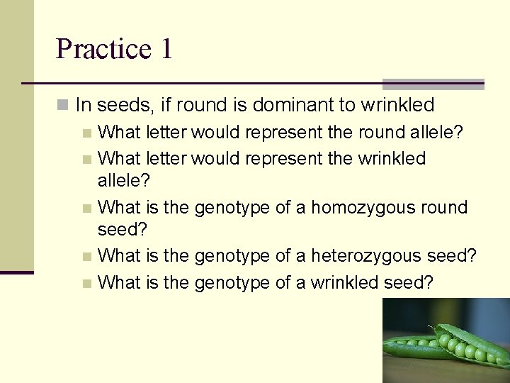 Practice 1 n In seeds, if round is dominant to wrinkled n What letter