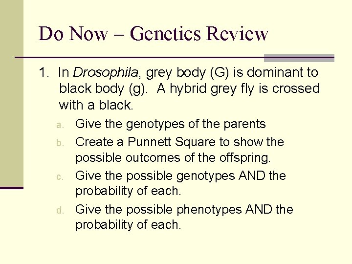 Do Now – Genetics Review 1. In Drosophila, grey body (G) is dominant to