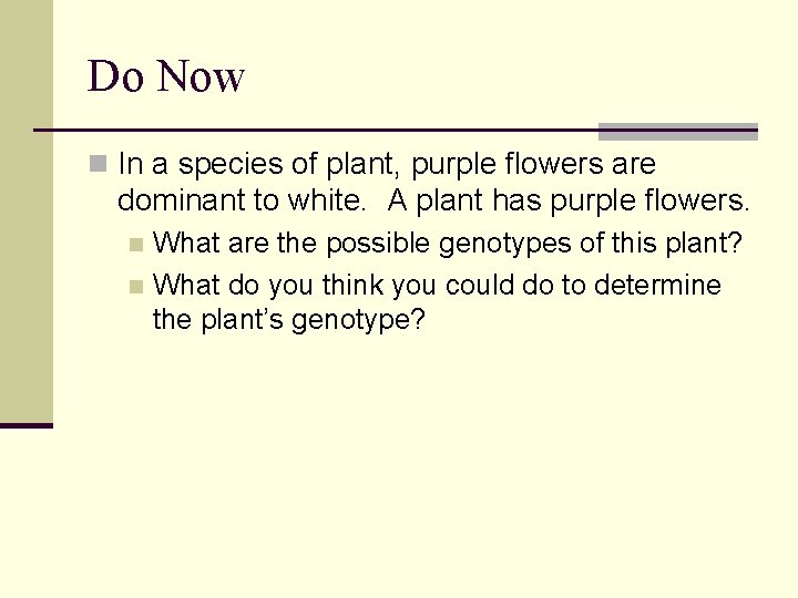 Do Now n In a species of plant, purple flowers are dominant to white.