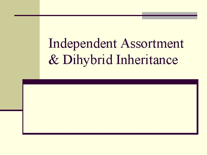 Independent Assortment & Dihybrid Inheritance 