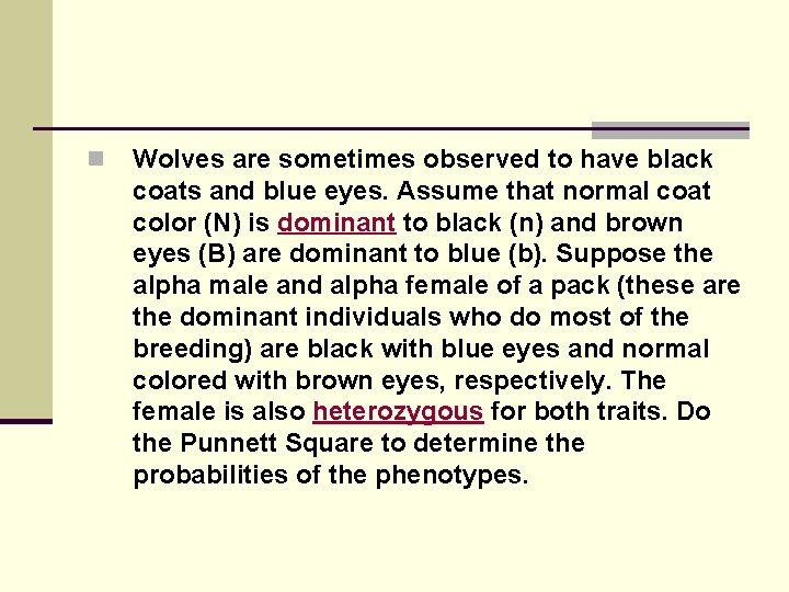 n Wolves are sometimes observed to have black coats and blue eyes. Assume that