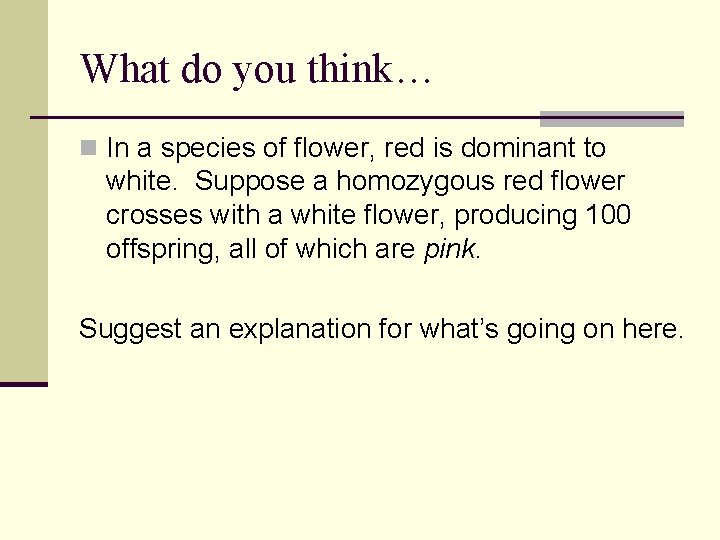 What do you think… n In a species of flower, red is dominant to