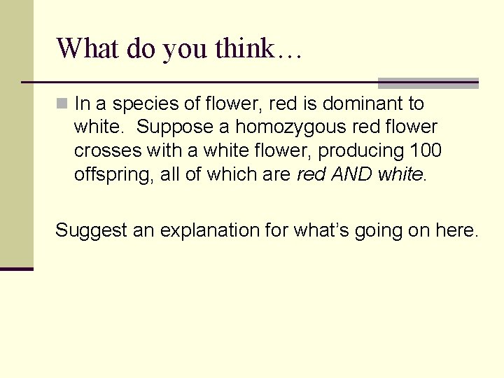 What do you think… n In a species of flower, red is dominant to