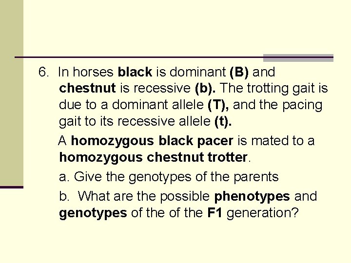 6. In horses black is dominant (B) and chestnut is recessive (b). The trotting