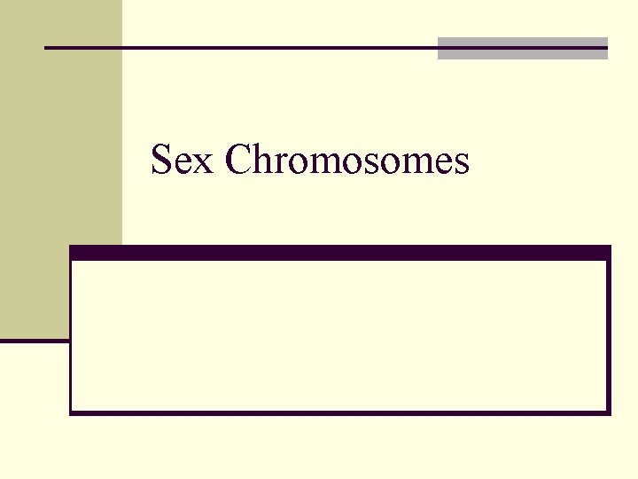 Sex Chromosomes 