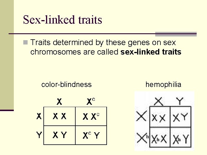 Sex-linked traits n Traits determined by these genes on sex chromosomes are called sex-linked