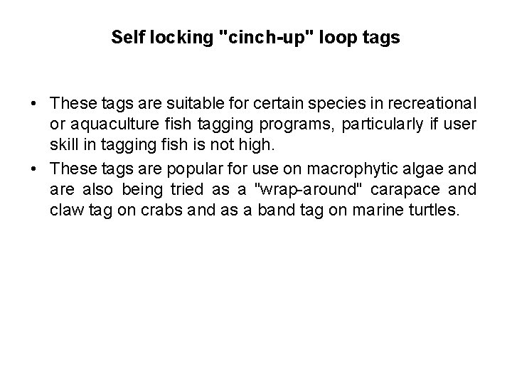 Self locking "cinch-up" loop tags • These tags are suitable for certain species in