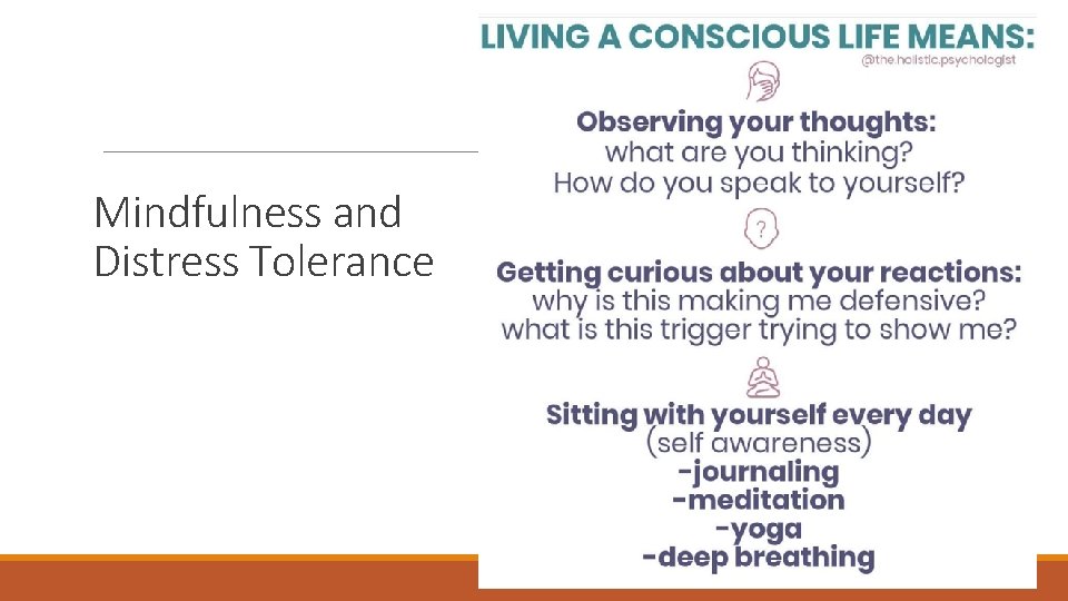 Mindfulness and Distress Tolerance 