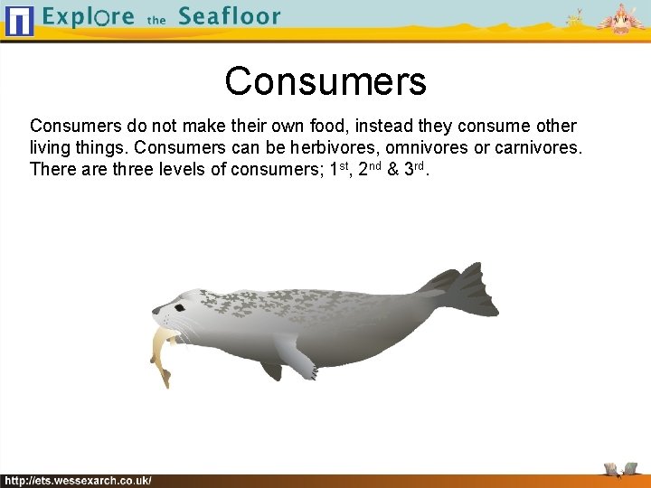 Consumers do not make their own food, instead they consume other living things. Consumers