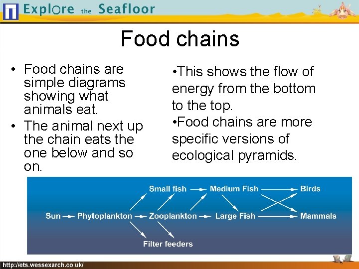 Food chains • Food chains are simple diagrams showing what animals eat. • The