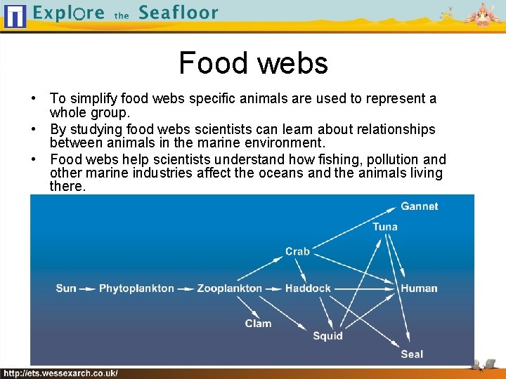 Food webs • To simplify food webs specific animals are used to represent a