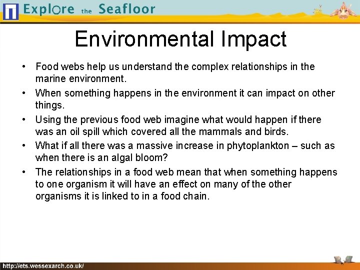 Environmental Impact • Food webs help us understand the complex relationships in the marine