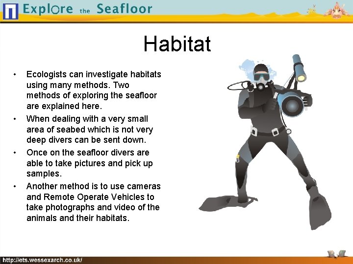 Habitat • • Ecologists can investigate habitats using many methods. Two methods of exploring