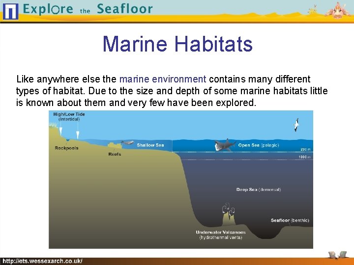 Marine Habitats Like anywhere else the marine environment contains many different types of habitat.