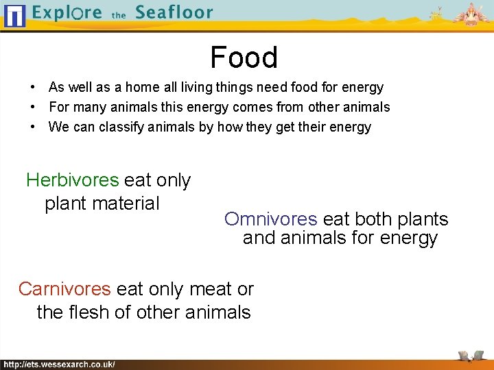 Food • As well as a home all living things need food for energy