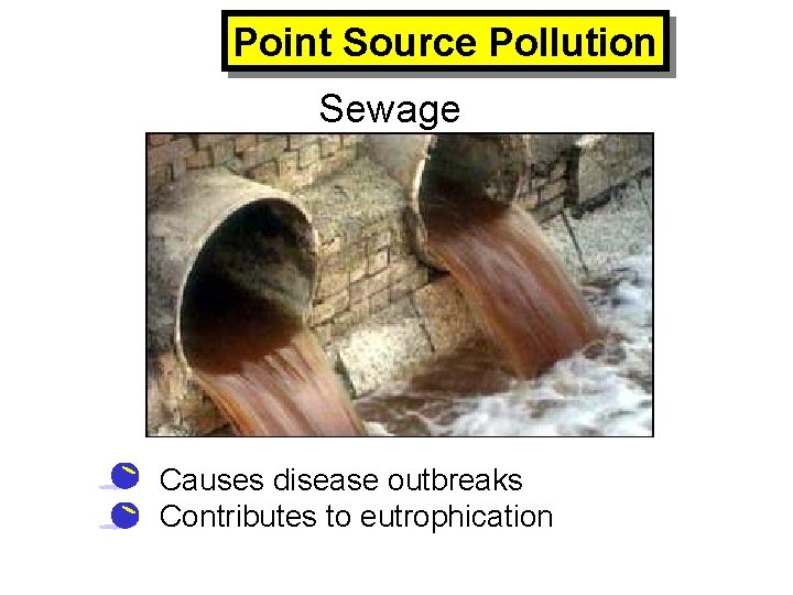 Point Source Pollution Sewage • Causes disease outbreaks • Contributes to eutrophication 