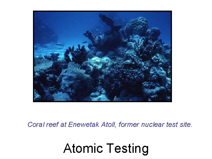 Coral reef at Enewetak Atoll, former nuclear test site. Atomic Testing 