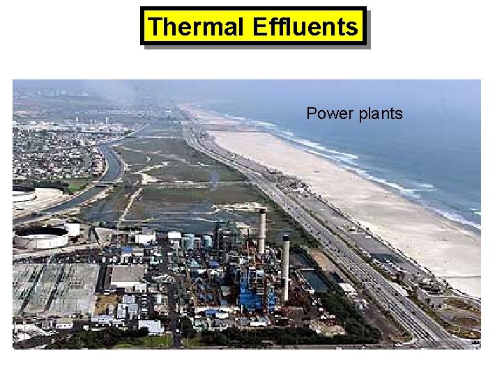 Thermal Effluents Power plants 