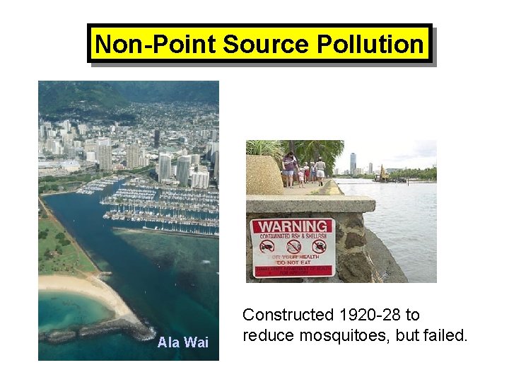 Non-Point Source Pollution Ala Wai Constructed 1920 -28 to reduce mosquitoes, but failed. 