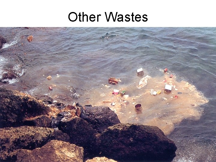 Other Wastes 