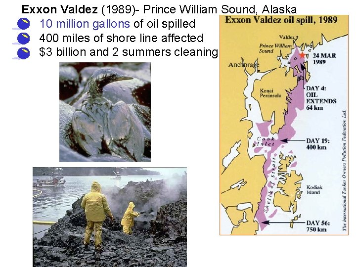 Exxon Valdez (1989)- Prince William Sound, Alaska • 10 million gallons of oil spilled