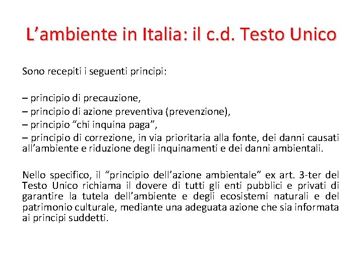 L’ambiente in Italia: il c. d. Testo Unico Sono recepiti i seguenti principi: –