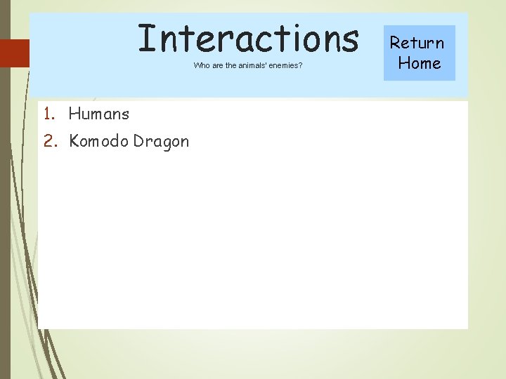 Interactions Who are the animals’ enemies? 1. Humans 2. Komodo Dragon Return Home 