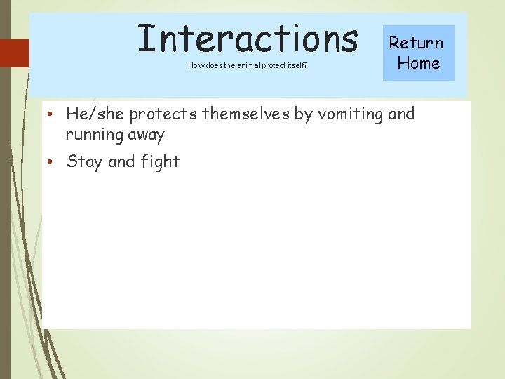 Interactions How does the animal protect itself? Return Home • He/she protects themselves by