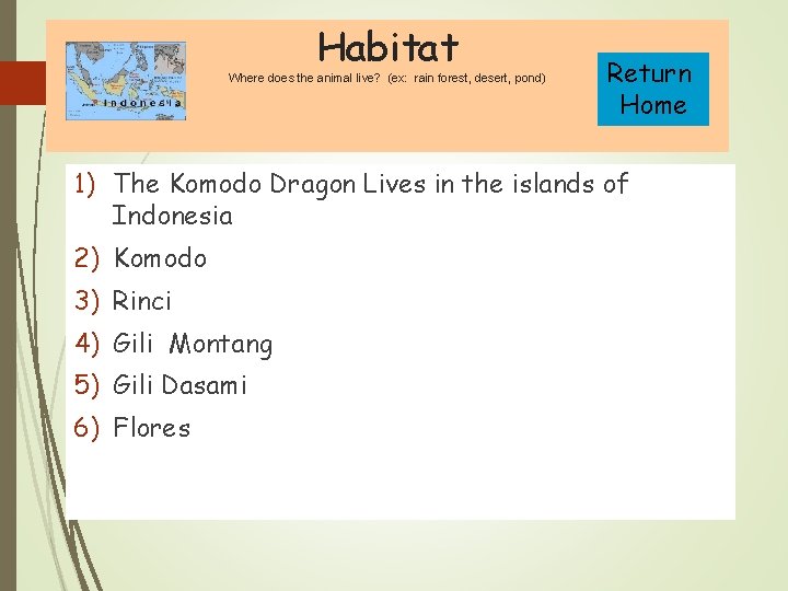 Habitat Where does the animal live? (ex: rain forest, desert, pond) Return Home 1)