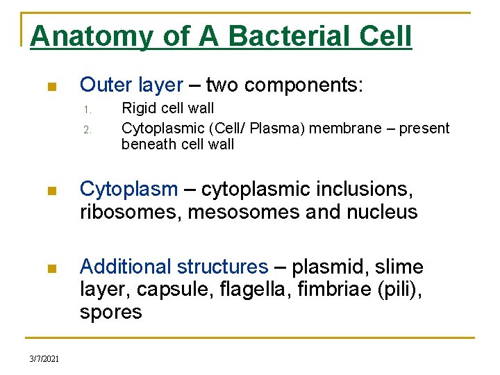 Anatomy of A Bacterial Cell n Outer layer – two components: 1. 2. Rigid