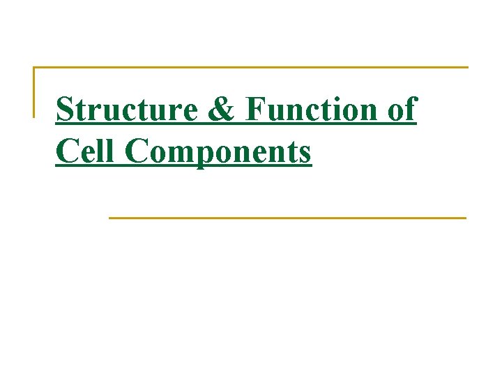 Structure & Function of Cell Components 