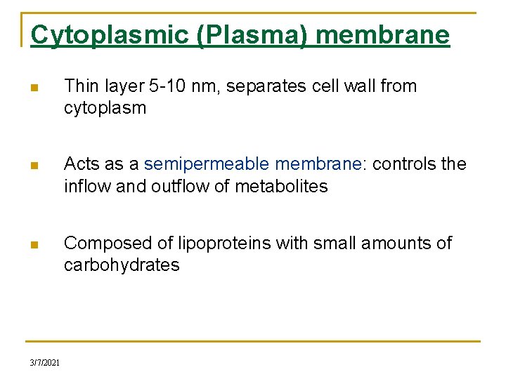 Cytoplasmic (Plasma) membrane n Thin layer 5 -10 nm, separates cell wall from cytoplasm