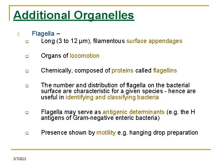 Additional Organelles 3. q Flagella – Long (3 to 12 µm), filamentous surface appendages