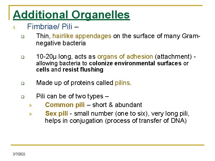 Additional Organelles Fimbriae/ Pili – 4. Thin, hairlike appendages on the surface of many
