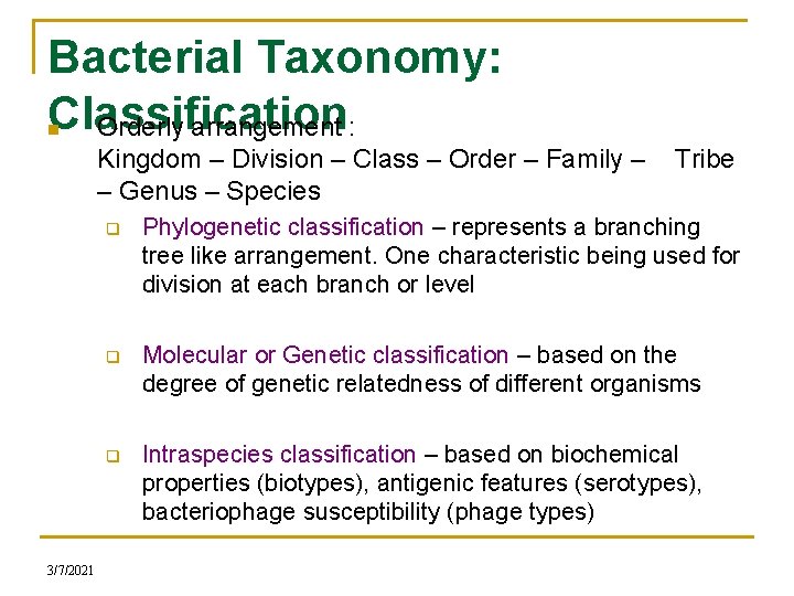 Bacterial Taxonomy: Classification Orderly arrangement : n Kingdom – Division – Class – Order