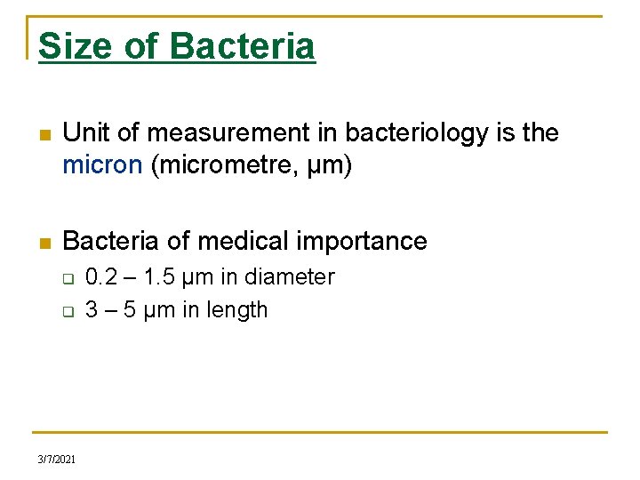 Size of Bacteria n Unit of measurement in bacteriology is the micron (micrometre, µm)