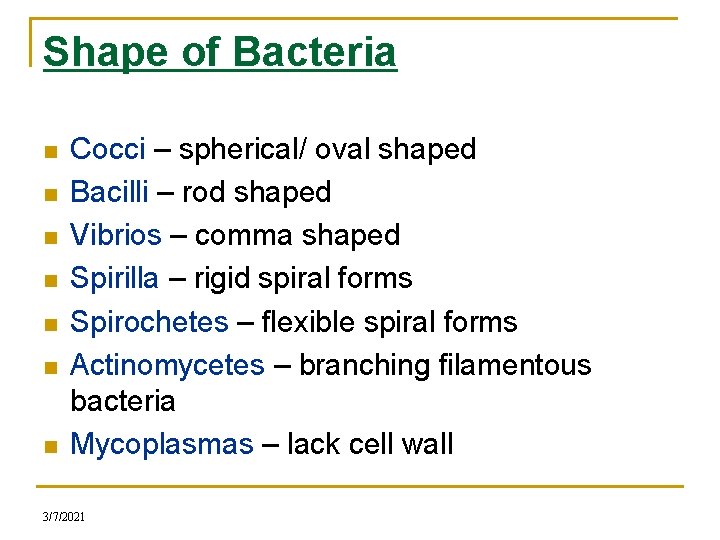 Shape of Bacteria n n n n Cocci – spherical/ oval shaped Bacilli –