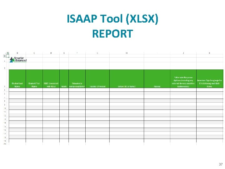 ISAAP Tool (XLSX) REPORT 37 