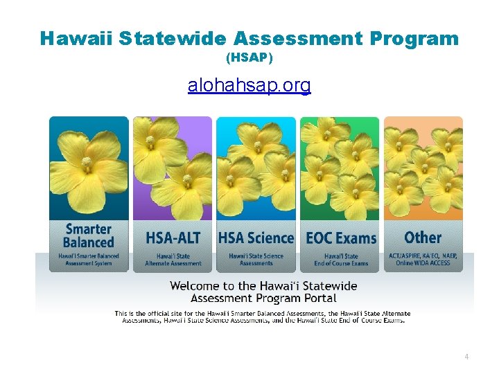 Hawaii Statewide Assessment Program (HSAP) alohahsap. org 4 