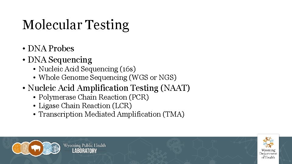 Molecular Testing • DNA Probes • DNA Sequencing • Nucleic Acid Sequencing (16 s)