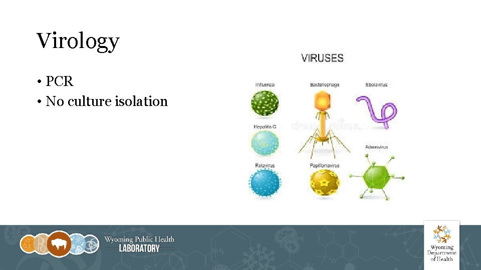 Virology • PCR • No culture isolation 
